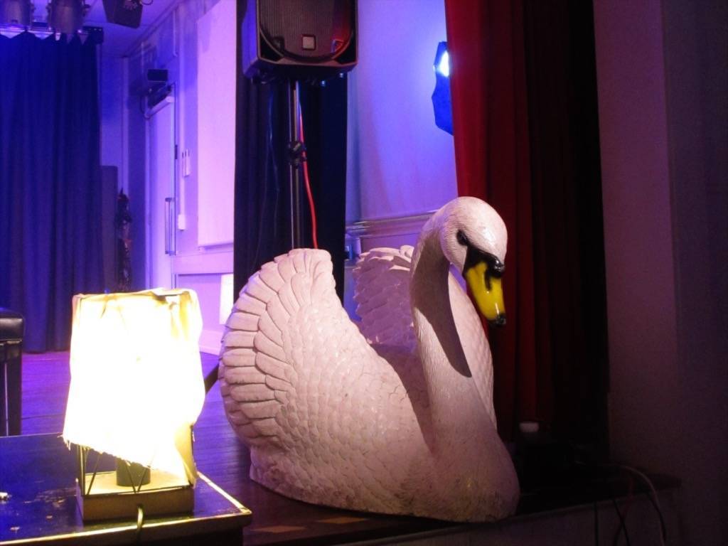 Duck (2025)