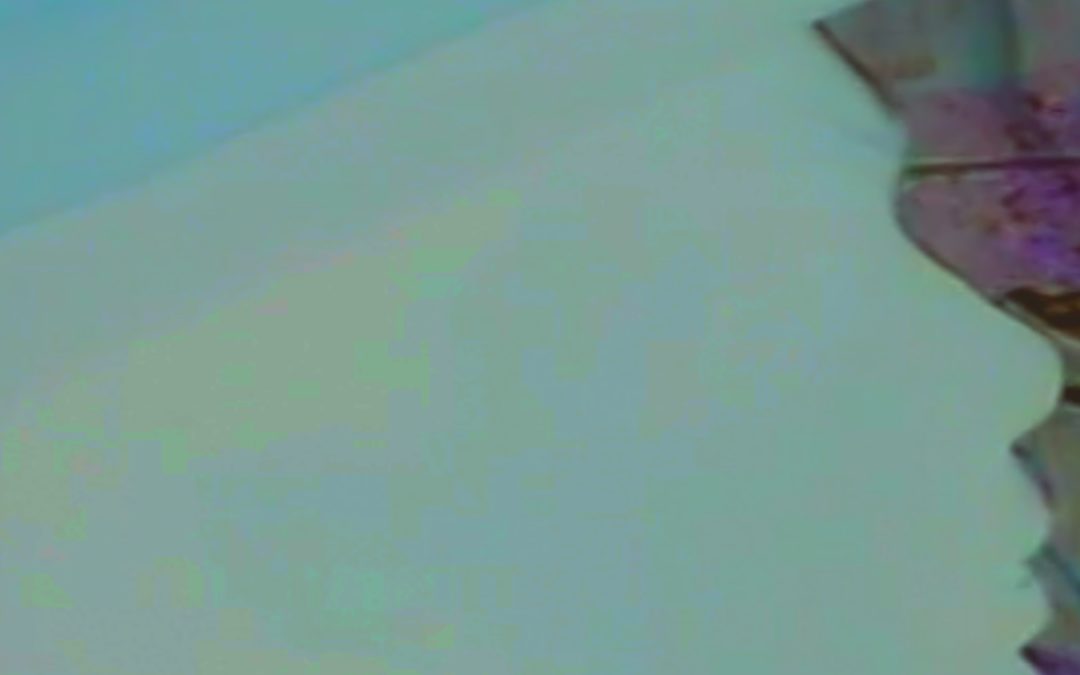 The Last Resort (2027)